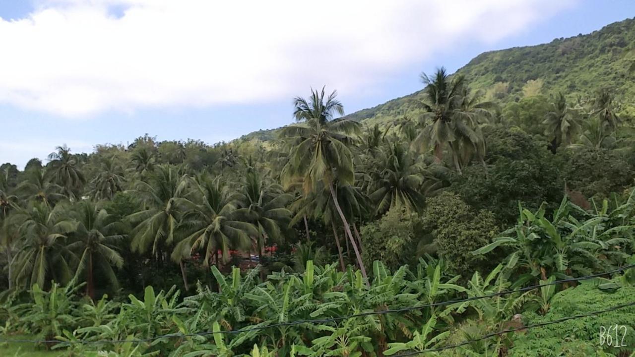 Homestay View Doi Hon Son Lai Son Buitenkant foto